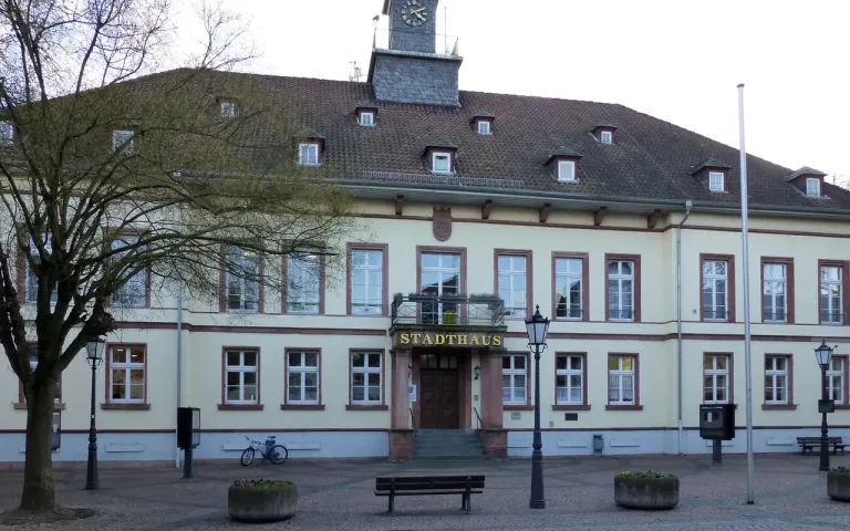 Flughafentransfer Gernsheim