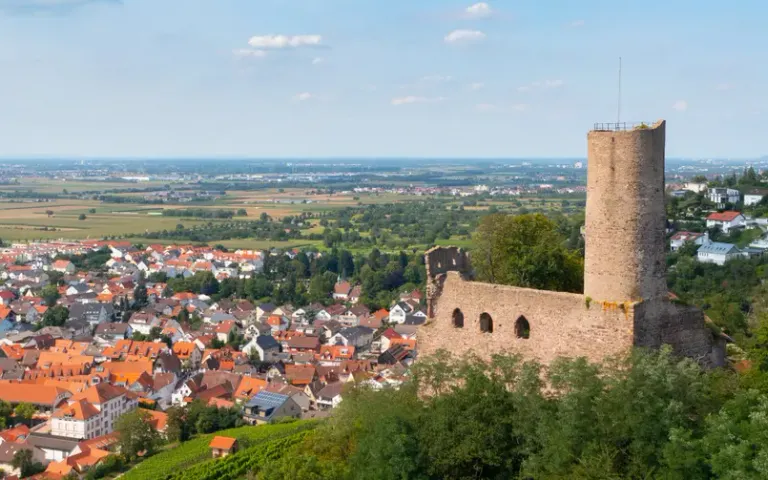 Flughafentransfer Schriesheim